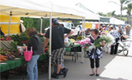 Coronado Ferry Landing Farmers' Market