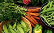 Vista Farmer's Market