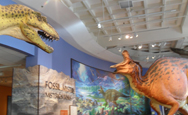 San Diego Natural History Museum