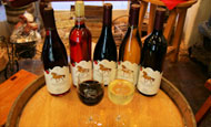 Hacienda de las Rosas Winery