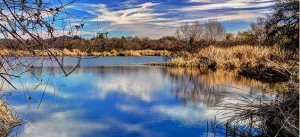 Kumeyaay Lake at Mission Trails Regional Park