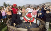 grape-stomp