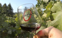 wine-glass
