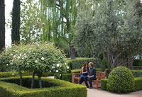 garden-4