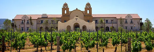 ponte-vineyard2