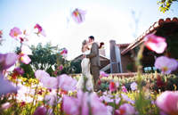 wedding-3