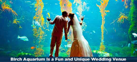 Eat se Explore Best 1000 San Diego things Birch Aquarium Is a Fun and UniqueWedding Venue