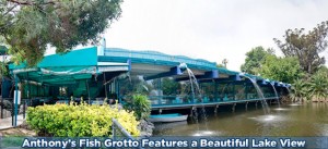 anthony's fish grotto