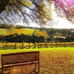 Temecula Wineries