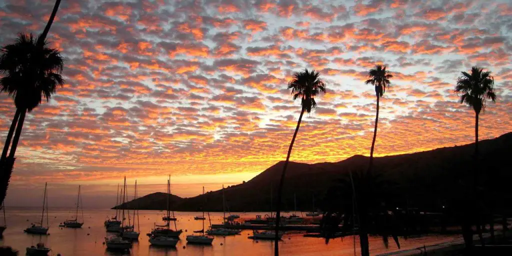 sandiegan.com catalina