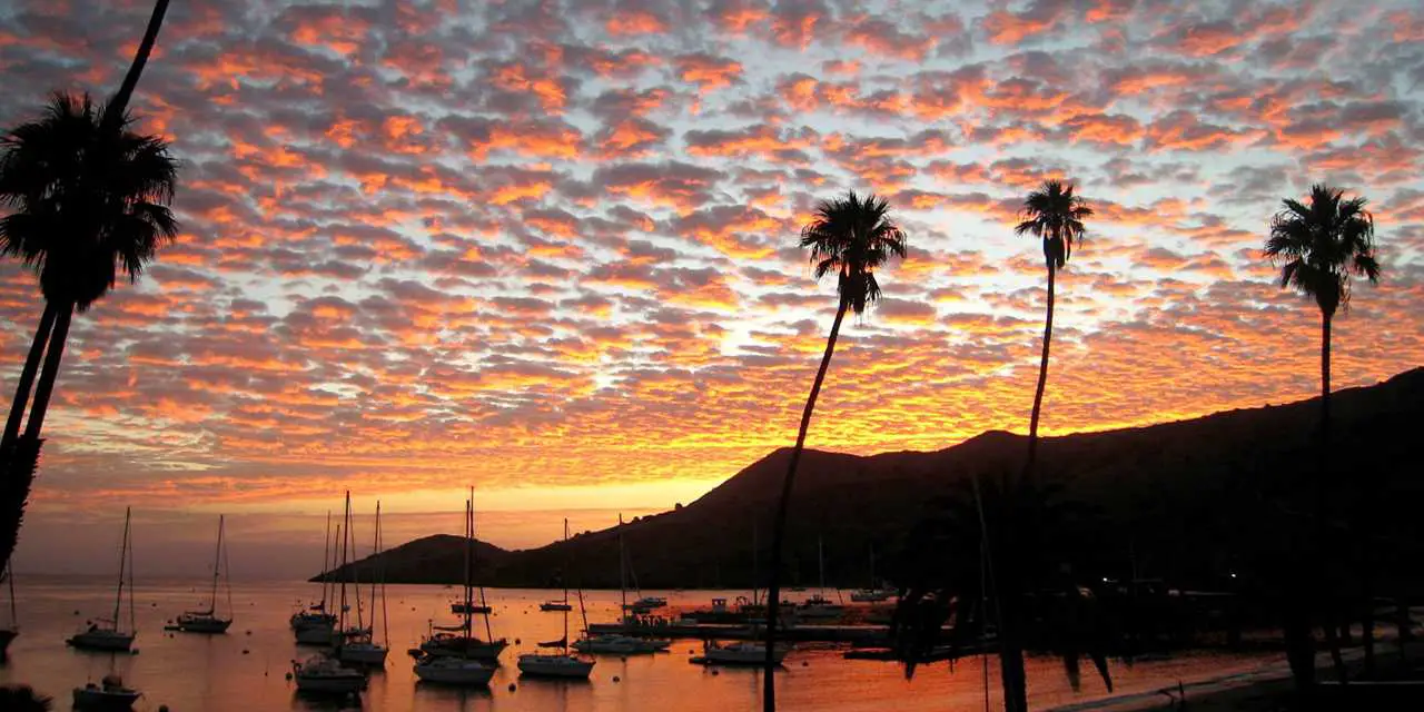 Catalina Island, Regional Travel, Boats