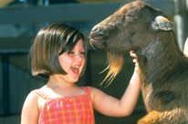San Diego Zoo