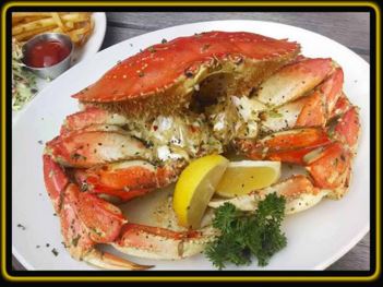 1000 things to do in san diego