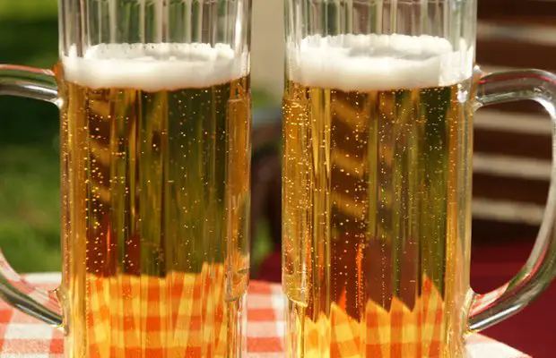 Sandiegan.com beer