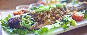 Asian, Vietnamese, Phuong Trang, Catfish