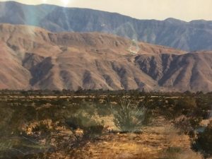 Borrego Springs